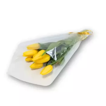 Букет Тюльпан 9 шт.