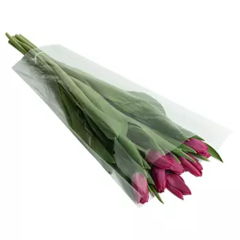 Букет Тюльпан 9 шт.