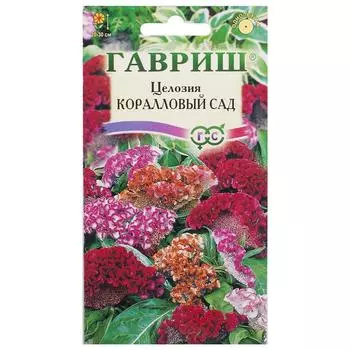 Целозия гребенчатая «Коралловый сад»