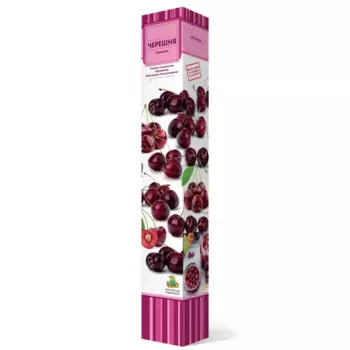 Черешня Речица h64 см