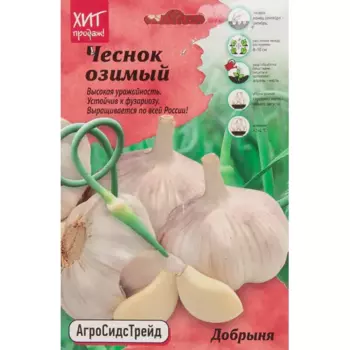Чеснок озимый Добрыня 450г АСТ