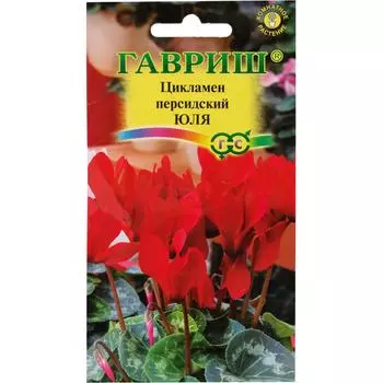 Цикламен персидский «Юля», 3 шт.