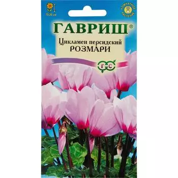 Цикламен персидский «Розмари», 3 шт.