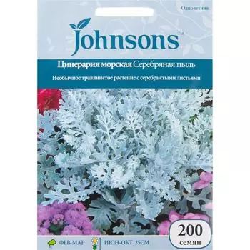 Цинерария морская «Серебряная пыль» 200 шт.