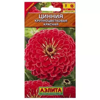 Цинния красная «Крупноцветковая»