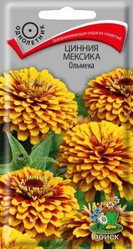 Цинния Мексика «Ольмека»