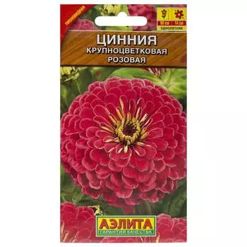 Цинния розовая «Крупноцветковая»