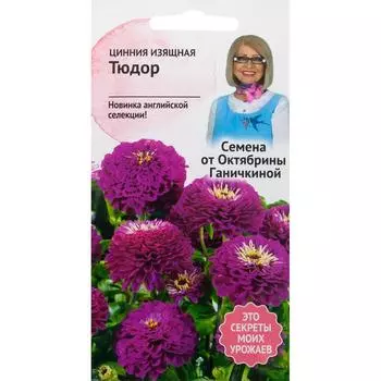 Цинния «Тюдор» 10 шт.