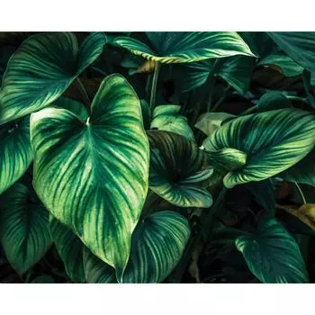 Декобокс 40х50 см "Листья"