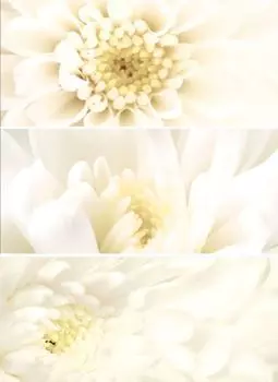 Декор Cersanit 20x44 см цвет белый