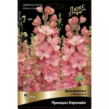 Дельфиниум гибридный Принцесс Кэролайн
