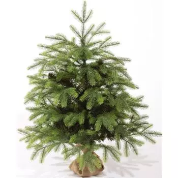 Ель новогодняя искусственная «Байкальская», 100 см