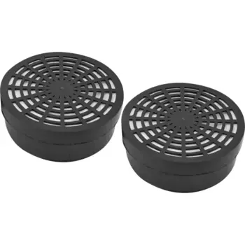 Фильтр сменный для РУ-60М Исток 300/400 А1В1Р1, 2 шт.