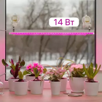 Фитосветильник линейный светодиодный Ritter Planta 56297 9 14Вт 880мм провод 2м с выключателем на корпусе цвет белый