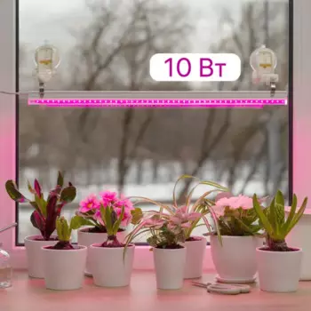 Фитосветильник линейный светодиодный Ritter Planta 56296 2 10Вт 572мм провод 2м с выключателем на корпусе цвет белый