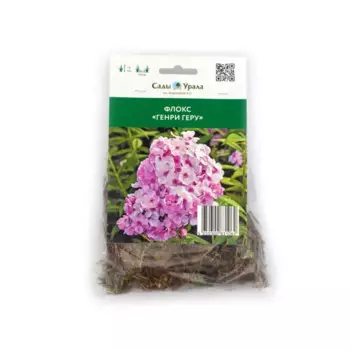 Флокс Генри Геру h16 см