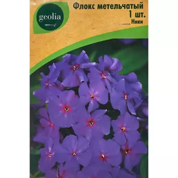 Флокс Geolia метельчатый Ники