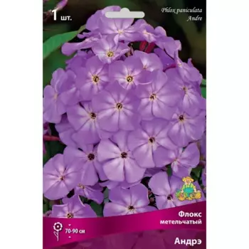 Флокс метельчатый Андрэ луковица I