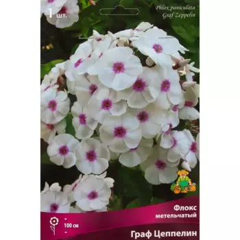 Флокс метельчатый Граф цеппелин луковица I