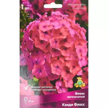 Флокс метельчатый Кэнди флосс луковица I