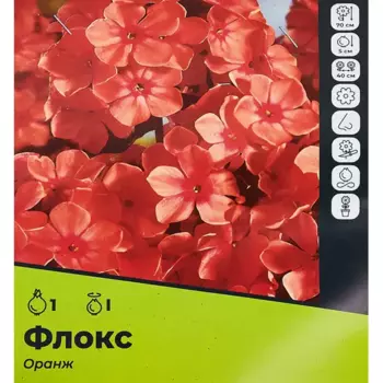 Флокс Оранж разбор I