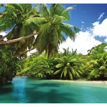 Фотообои 3D Flizart «Тропический остров», флизелиновые, 300x280 см