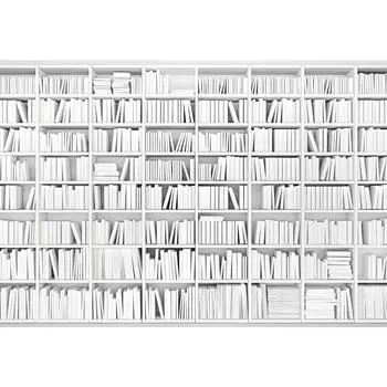 Фотообои Библиотека бумажные, 368x254см, WM-66