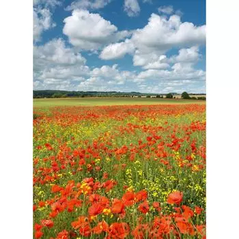 Фотообои бумажные «Краски лета» 184х254 см