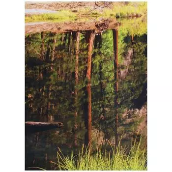 Фотообои бумажные «Три брата, Калифорния» 368x254 см