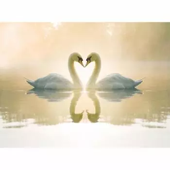 Фотообои бумажные Верность 200x140 см