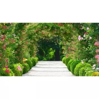 Фотообои флизелиновые «Арка из роз» 370х200 см