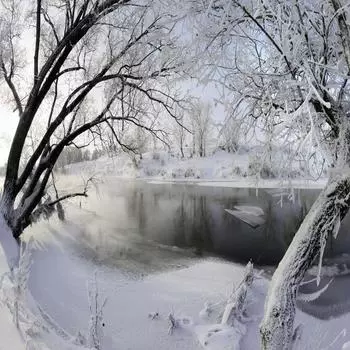 Фотообои флизелиновые «Иней» 200х200 см