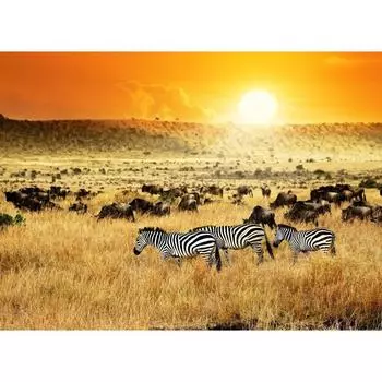 Фотообои флизелиновые «Сафари» 370х270 см