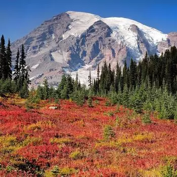 Фотообои флизелиновые «Снежные горы» 200х200 см