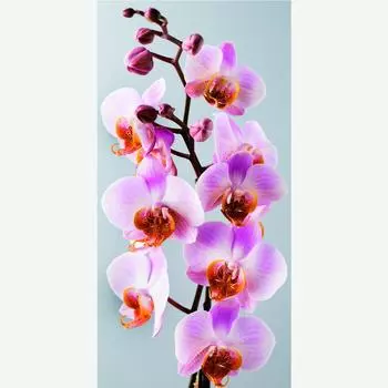 Фотообои флизелиновые «Ванда» 100х200 cм