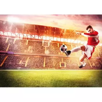Фотообои Футбольный триумф 140x100 см