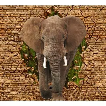 Фотообои Слон 3D флизелиновые, 300х270 cм, 3223-Л