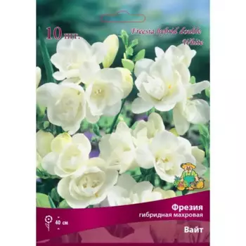 Фрезия гибридная махровая Вайт луковица 5/6