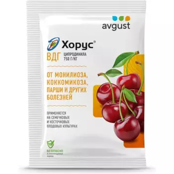Фунгицид Хорус ВДГ от болезней 2 г