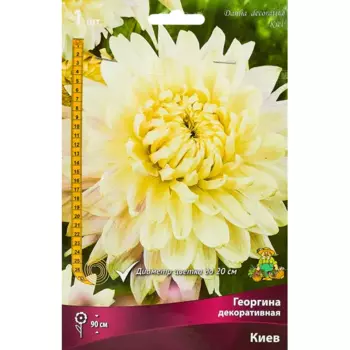Георгина декоративная Киев