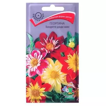 Георгина «Коларетте дэнди» микс