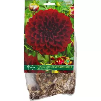 Георгины декоративные «Арабиан Найт», 1 шт.