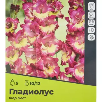 Гладиолус Фарвест луковицы 10/12, 5 шт.
