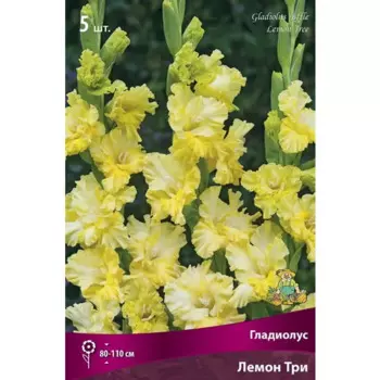 Гладиолус гофрированный Лемон Три 5 шт.
