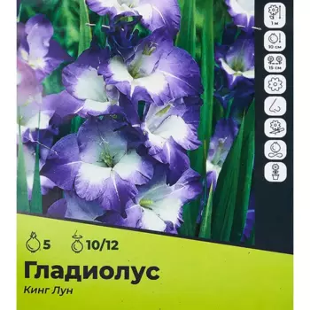 Гладиолус Кинглун луковицы 10/12, 5 шт.