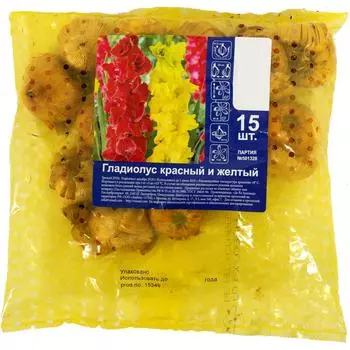 Гладиолус красный и жёлтый микс