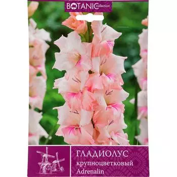 Гладиолус крупноцветковый Адреналин 10/12, 10 шт