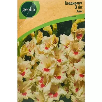 Гладиолус крупноцветковый Аякс Geolia 3 шт