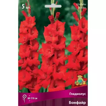 Гладиолус крупноцветковый Бонфайр луковица 12/14