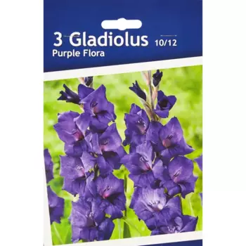 Гладиолус крупноцветковый Перпл Флора